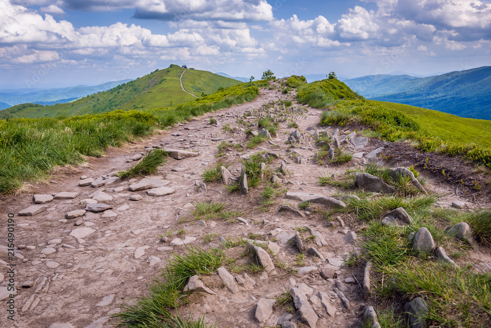 Fototapeta premium Trail to mountain cabin called Winnie the Pooh Hut shelter in Bieszczady National Park, Subcarpathian Voivodeship of Poland