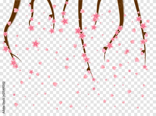 Sprigs of cherry tree flowers sakura fall spatter the spring annual season of japan in paper cut style. Asian decoration for Mid-Autumn Festival, Chuseok, other holidays. Vector Illustration.