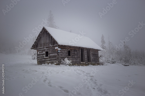 Fototapeta Naklejka Na Ścianę i Meble -  Opuszczona zaśnieżona górska chata - Beskidy