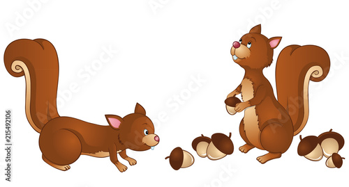 cute squirrels collecting acorns