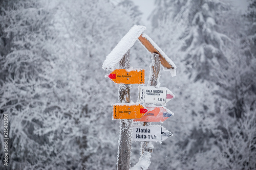 Fototapeta Naklejka Na Ścianę i Meble -  Drogowskaz górski w Beskidach