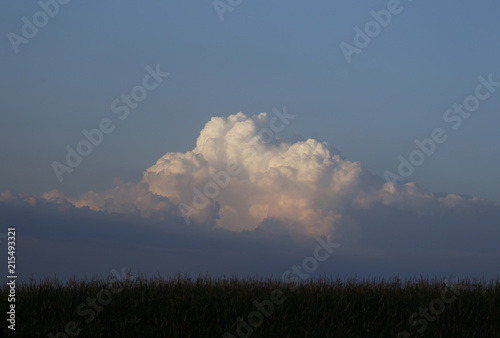 clouds in the sky