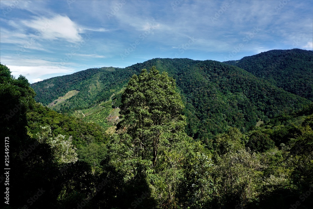 Beautiful view on the hills surrounding San Gerardo de Dota