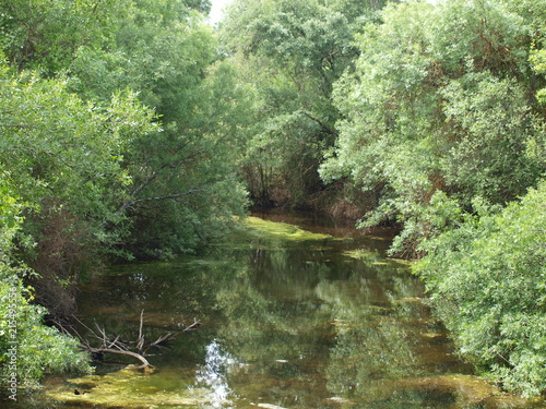 rio Bullaque en la comarca de Cabañeros photo