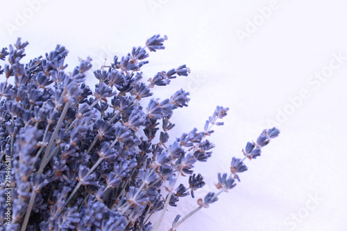 Lavander bouauet isolated on white background