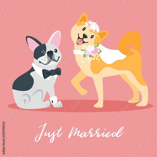 wedding day illustration with dog