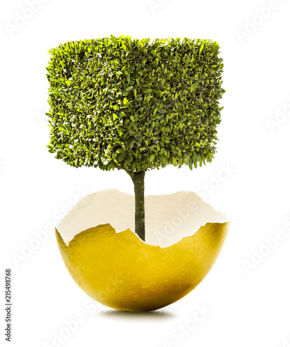 Goldene Eierschale mit Baum