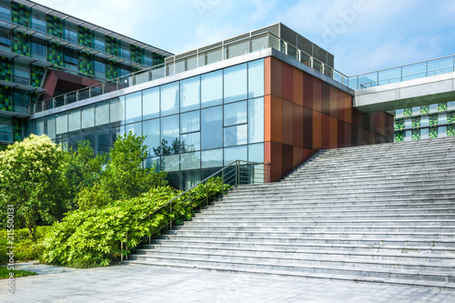 Fototapeta Naklejka Na Ścianę i Meble -  House on green field with poppy flowers