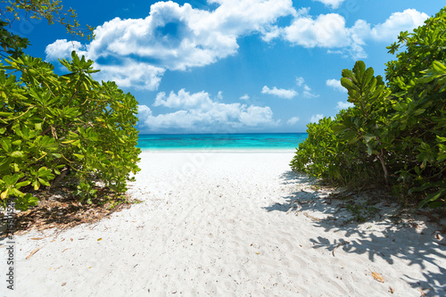Fototapeta Naklejka Na Ścianę i Meble -  Beautiful lagoon beach on the tropical island paradise of Koh Tachai, Similan National Park, Thailand