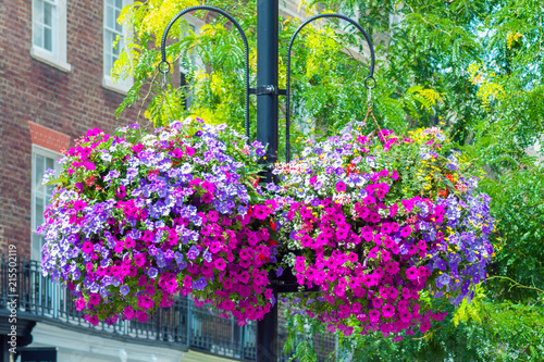 Street post with baskets of natural flowers (petunias)