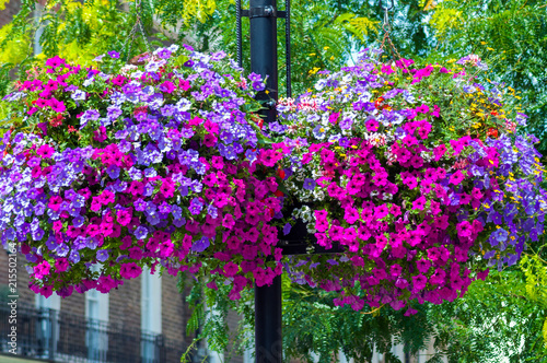 Street post with baskets of natural flowers (petunias)