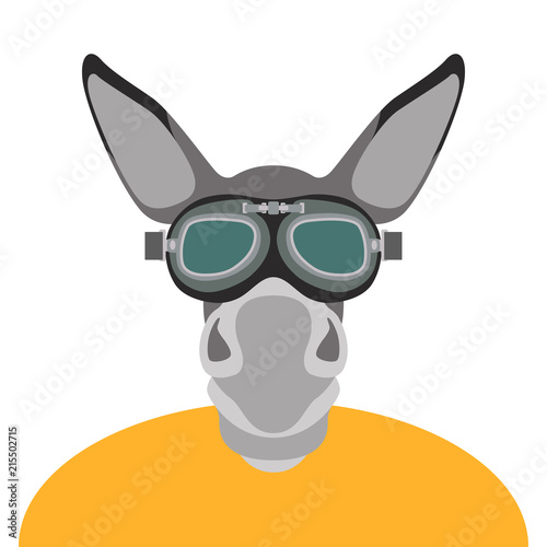 donkey in glasses face head vector illustration flat style  © wectorcolor