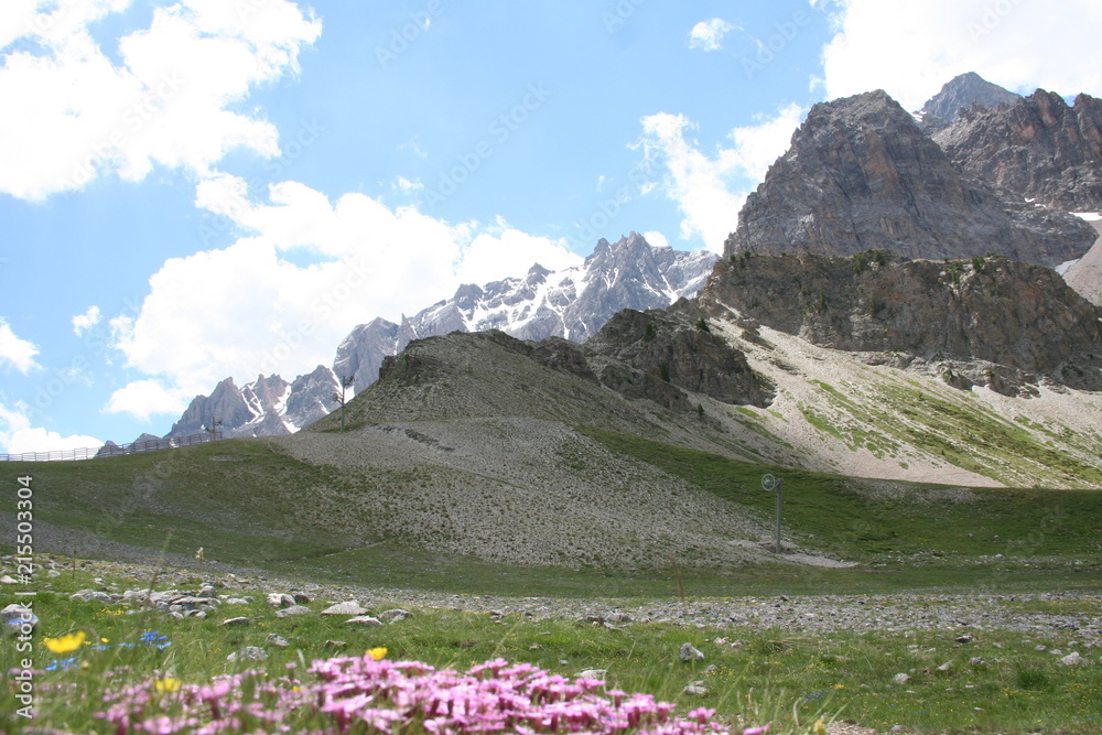 Fototapeta premium Paysage de montagne