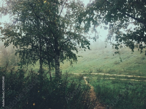 Konstfotografi Processed with VSCO with g3 preset