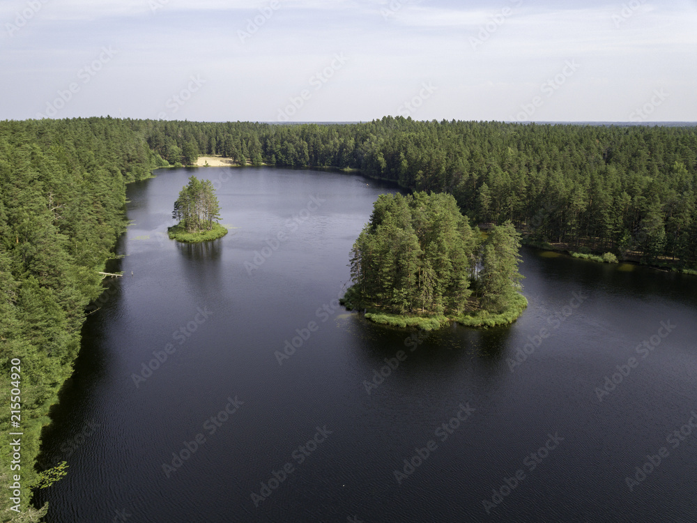 Aerial view near forest lake, Estonia, Viitna