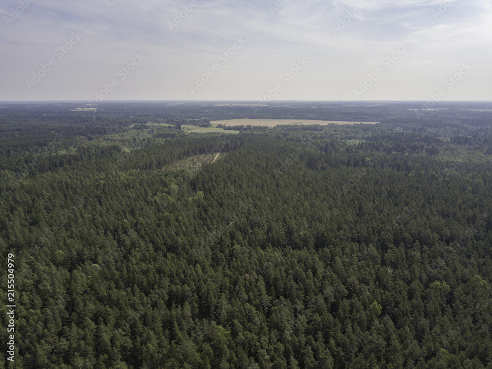 Aerial view near forest lake, Estonia, Viitna