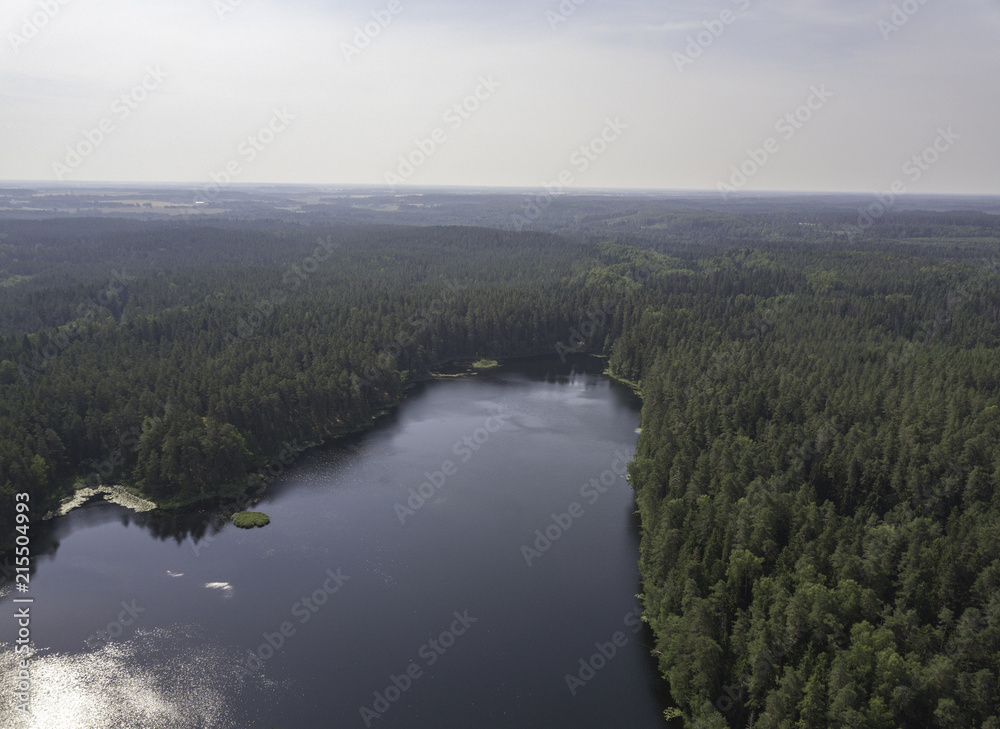 Aerial view near forest lake, Estonia, Viitna