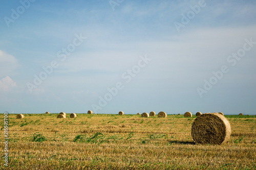 Field of harvested grain with bales of hay and blue sky