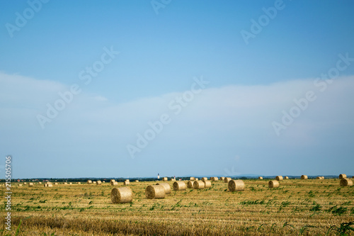 harvested field with bales of hay and blue sky