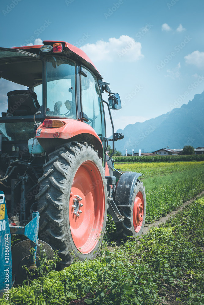 Fototapeta premium Traktor auf Acker, Landwirtschaft, blauer Himmel