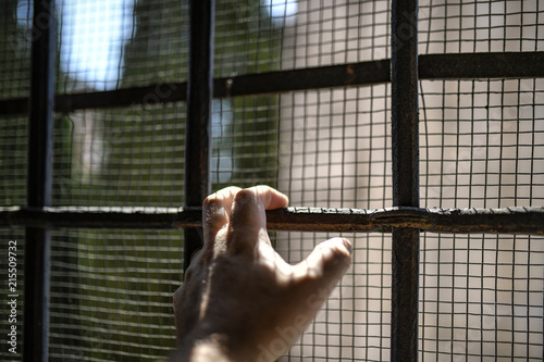 Foto Mano appesa a inferiate del carcere