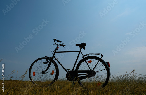 Fahrrad in der Natur auf der Wiese
