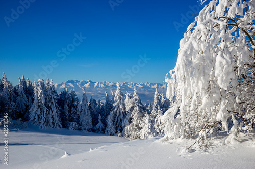 Widok panoramy Tatr ze szczytu zaśnieżonych Gorców