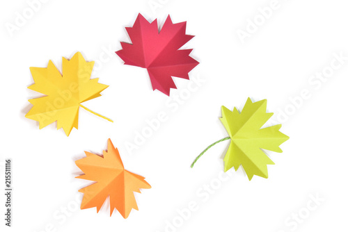 Autumn leaves paper cut on white background - isolated