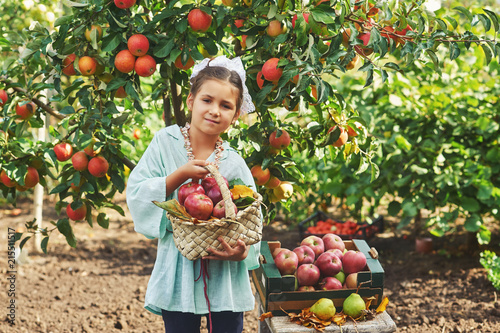 Portrait of a girl with apples .Girl holding a basket of fresh apples