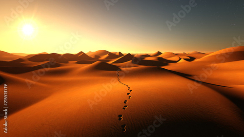 footprints on the sand dunes