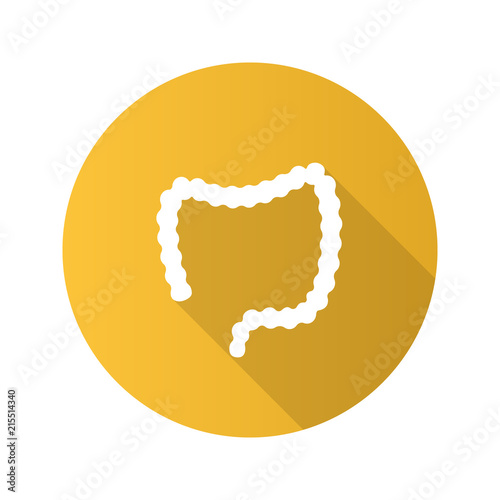 Large intestine flat design long shadow glyph icon