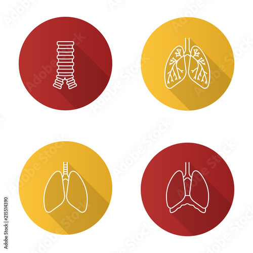 Internal organs flat linear long shadow icons set