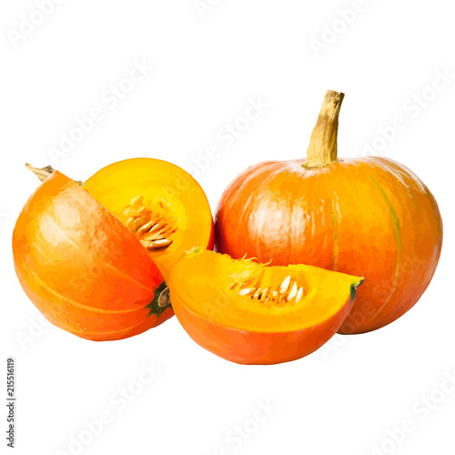 Vector pumpkin