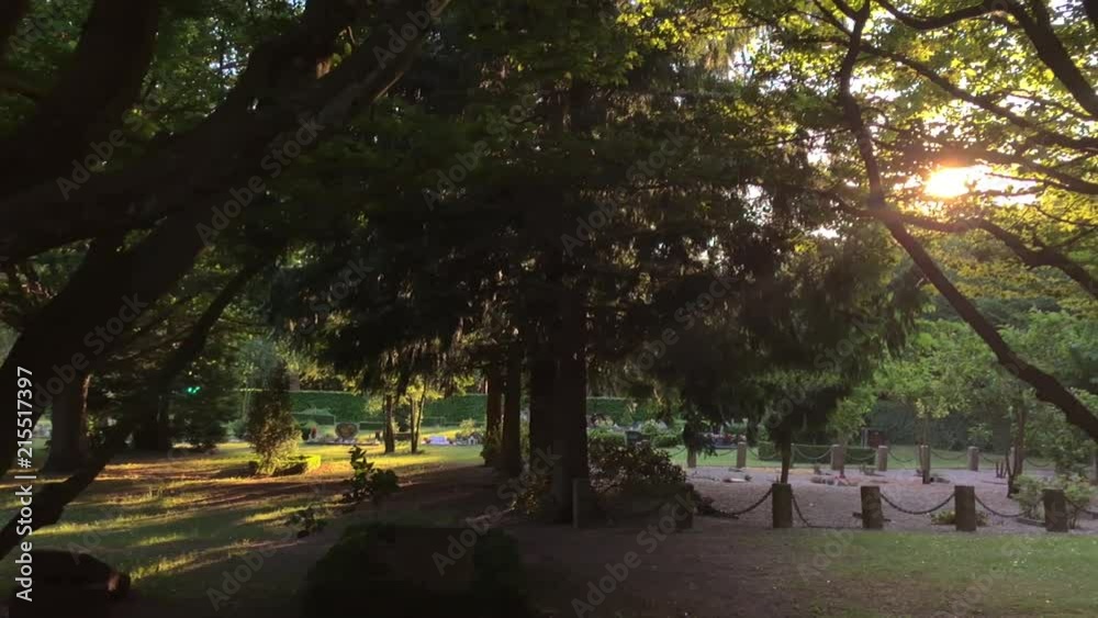 The sun shines thru trees at cemetery The sun shines thru trees at cemetery