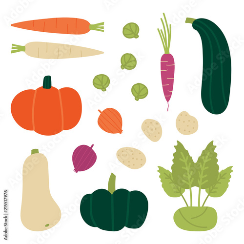 Set, collection of fresh autumn, fall vegetables. Carrots, butternut squash, pumpkin, zucchini, kohlrabi, brussels sprouts, onion, potato. Vector vegetables in cartoon style. 
