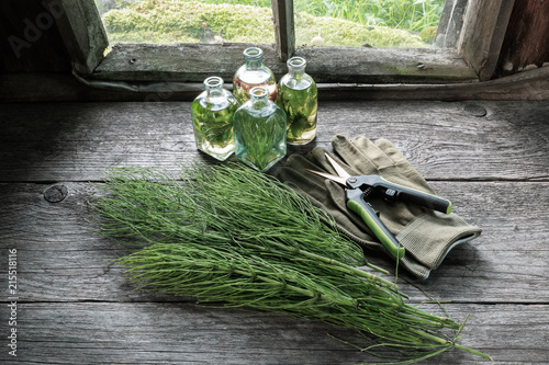 Horsetail healing herbs, bottle of infusion, gloves and garden scissors on wooden table inside the retro house.
