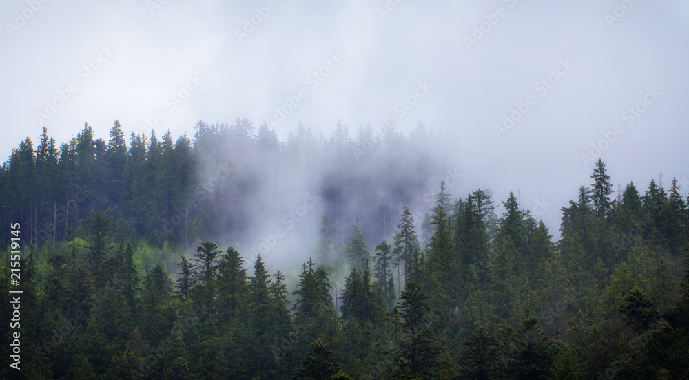 Cloudy weather in the Ukrainian Carpathians, fog rises from the forest