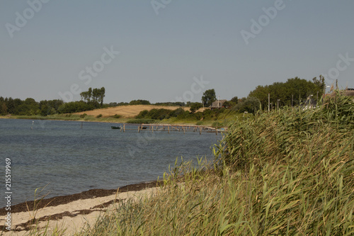 Summer in Denmark