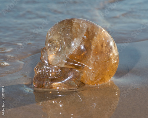 Natural Citrine  Quartz skull on wet sand on the beach at sunrise.  photo