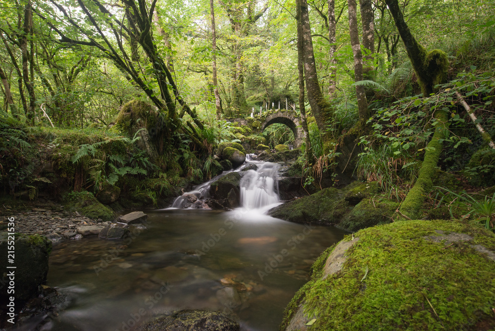 Obraz premium Waterfall