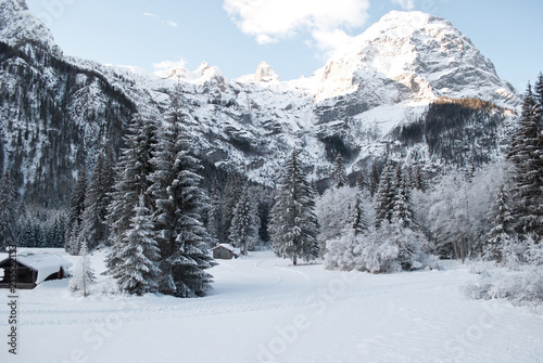 a beautiful winter in the mountains covered by snow © corradobarattaphotos