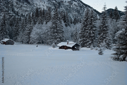 Ritorna l'inverno sulle Dolomiti Bellunesi