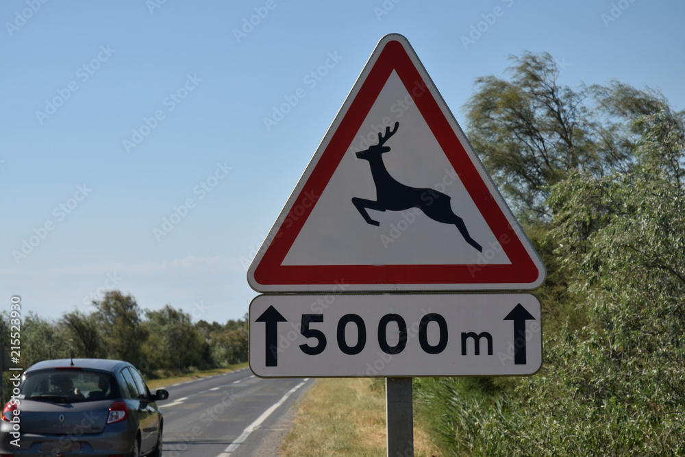 Panneau annonçant le passage d'animaux sauvages pendant 5 000 mètres. Panneau annonçant le passage d'animaux sauvages pendant 5 000 mètres.