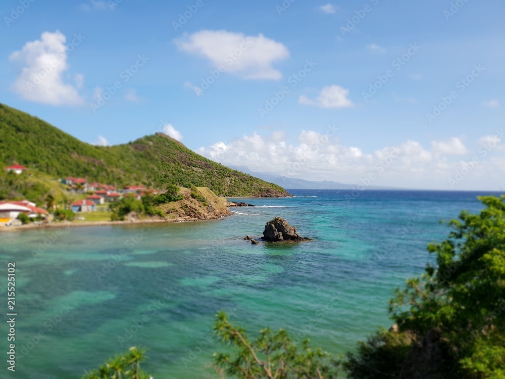 Fototapeta premium marigot