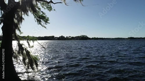 Wind blowing through the trees with the gorgeous Winter Park Lake in view on a sunny, clear sky, day.