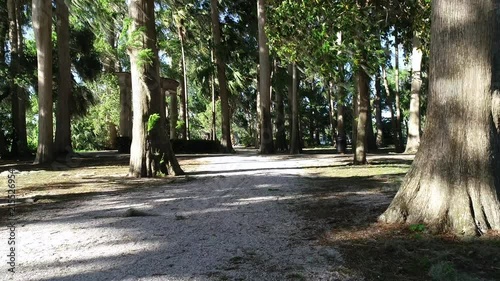 Sun shining through the trees in this gorgeous, aerial, view of Winter Park.
