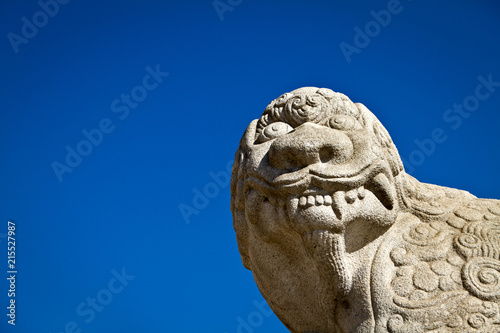 Haechi Looking Up, Against a Blue Sky in Seoul, South Korea