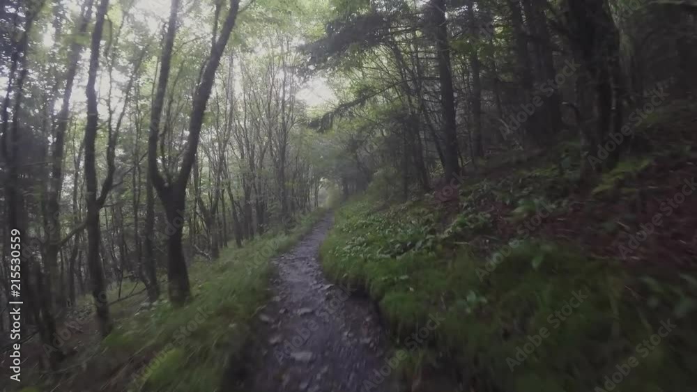 Hiking in the fog on the Appalachian Trail, Great Smoky Mountains National Park Hiking in the fog on the Appalachian Trail, Great Smoky Mountains National Park