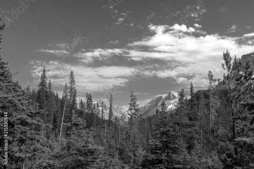 Landscape Around Takakkaw Falls in Yoho National Park, British Columbia, Canada photo