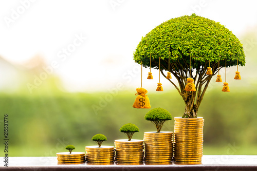 Stacking gold coins and money bag of tree with growing put on the wood on the morning sunlight in public park, Saving money and loan for business investment concept. photo